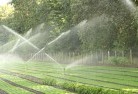 Rivertreelandscaping-water-management-and-drainage-17.jpg; ?>